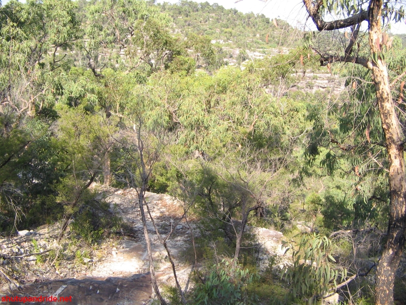20070114-Coba 115 